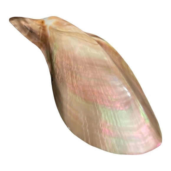 Sea Shell handmade Belt Buckle - Picture 2 of 8